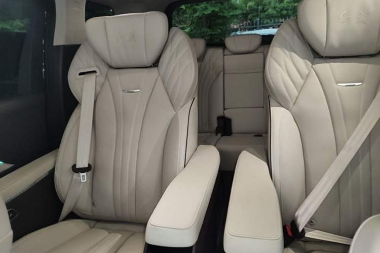 Used Hongqi HQ9 2023 2.0T Smart Connect Flagship Edition Left Rear Seat