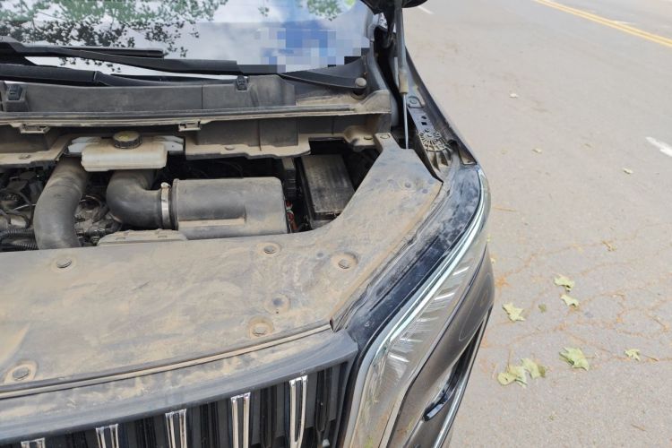 Used Hongqi HQ9 2023 2.0T Smart Connect Flagship Edition Engine Bay Left
