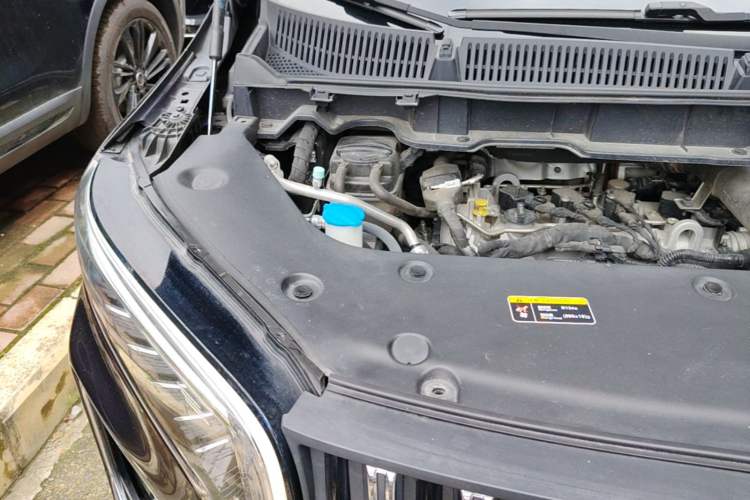 Used Hongqi HQ9 2023 2.0T Smart Connect Flagship Edition Engine Bay Right