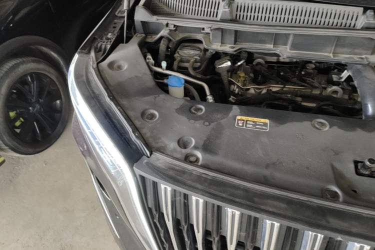 Used Hongqi HQ9 2023 2.0T Smart Connect Flagship Edition Engine Bay Right