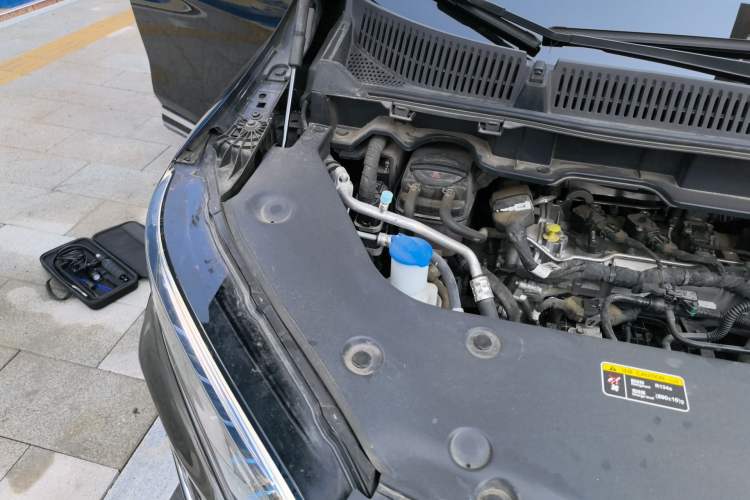 Used Hongqi HQ9 2023 2.0T Smart Connect Flagship Edition Engine Bay Right