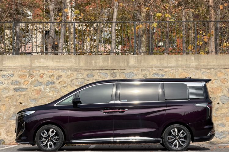 Used Hongqi HQ9 2023 2.0T Smart Connect Flagship Edition Exterior 2