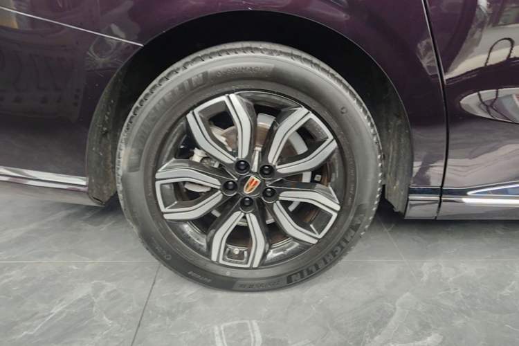 Used Hongqi HQ9 2023 2.0T Smart Connect Flagship Edition Exterior 2