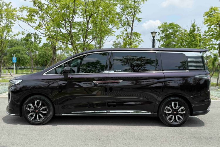 Used Hongqi HQ9 2023 2.0T Smart Connect Flagship Edition Exterior 2
