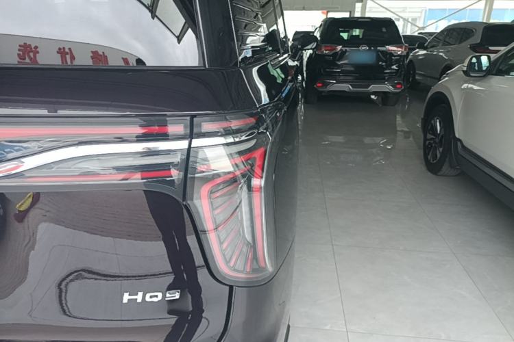Used Hongqi HQ9 2023 2.0T Smart Connect Flagship Edition Exterior 3