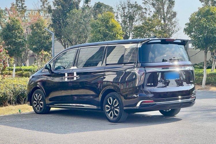 Used Hongqi HQ9 2023 2.0T Smart Connect Flagship Edition Exterior 4