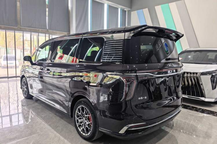 Used Hongqi HQ9 2023 2.0T Smart Connect Flagship Edition Exterior 4