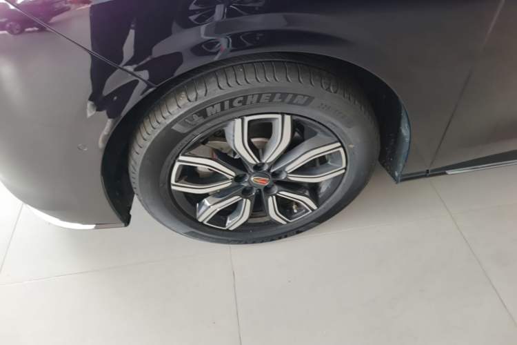 Used Hongqi HQ9 2023 2.0T Smart Connect Flagship Edition Exterior 4