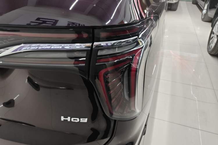 Used Hongqi HQ9 2023 2.0T Smart Connect Flagship Edition Exterior 6