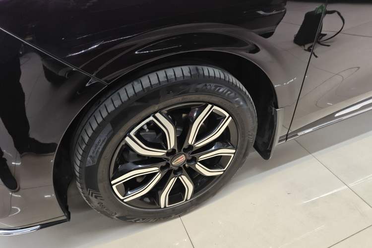 Used Hongqi HQ9 2023 2.0T Smart Connect Flagship Edition Exterior 7