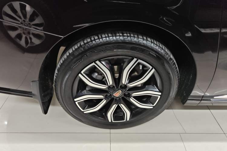 Used Hongqi HQ9 2023 2.0T Smart Connect Flagship Edition Exterior 8