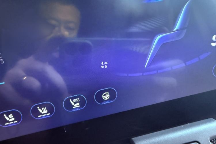 Used Hongqi HQ9 2023 2.0T Smart Connect Flagship Edition Exterior 9
