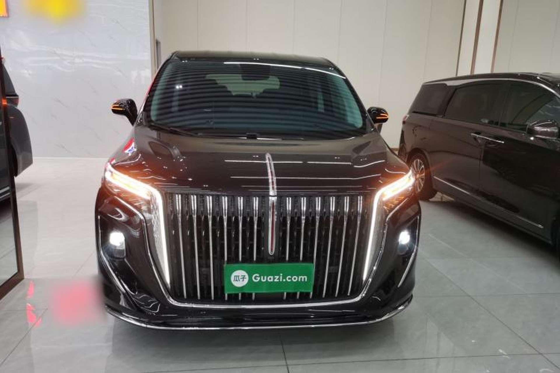 Used Hongqi HQ9 2023 2.0T Smart Connect Flagship Edition Front