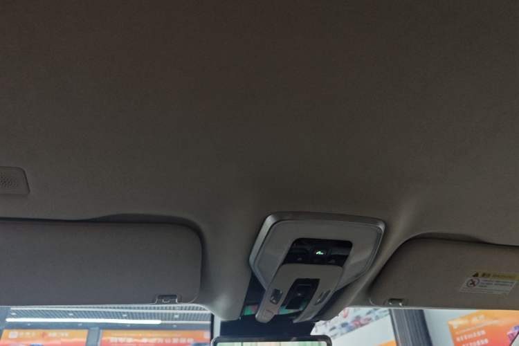Used Hongqi HQ9 2023 2.0T Smart Connect Flagship Edition Headliner