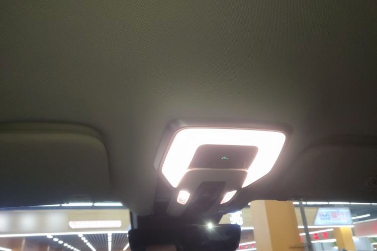 Used Hongqi HQ9 2023 2.0T Smart Connect Flagship Edition Headliner