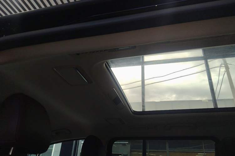 Used Hongqi HQ9 2023 2.0T Smart Connect Flagship Edition Headliner