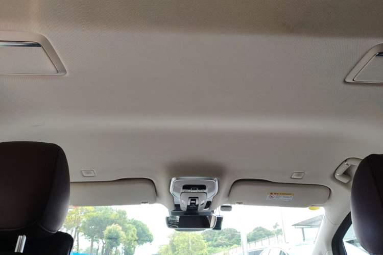Used Hongqi HQ9 2023 2.0T Smart Connect Flagship Edition Headliner