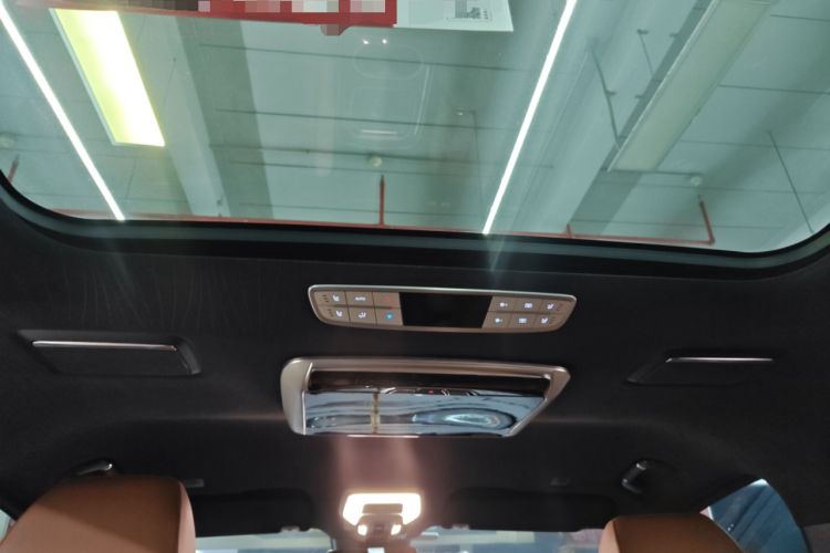 Used Hongqi HQ9 2023 2.0T Smart Connect Flagship Edition Headliner