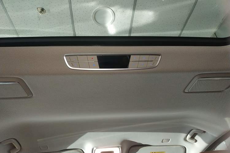 Used Hongqi HQ9 2023 2.0T Smart Connect Flagship Edition Headliner