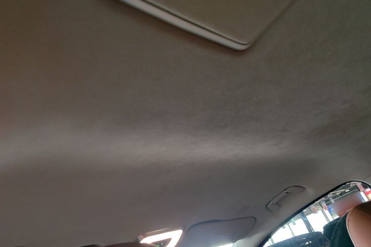 Used Hongqi HQ9 2023 2.0T Smart Connect Flagship Edition Headliner