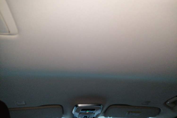 Used Hongqi HQ9 2023 2.0T Smart Connect Flagship Edition Headliner