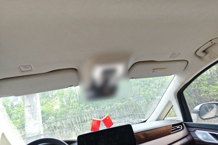 Used Hongqi HQ9 2023 2.0T Smart Connect Flagship Edition Headliner