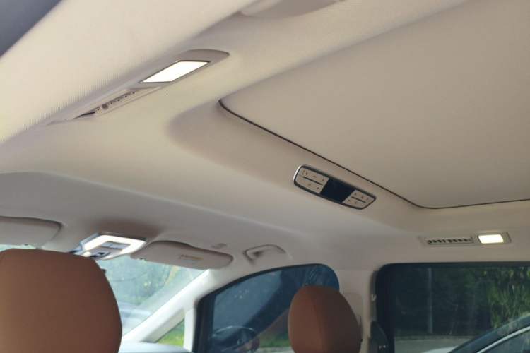 Used Hongqi HQ9 2023 2.0T Smart Connect Flagship Edition Headliner