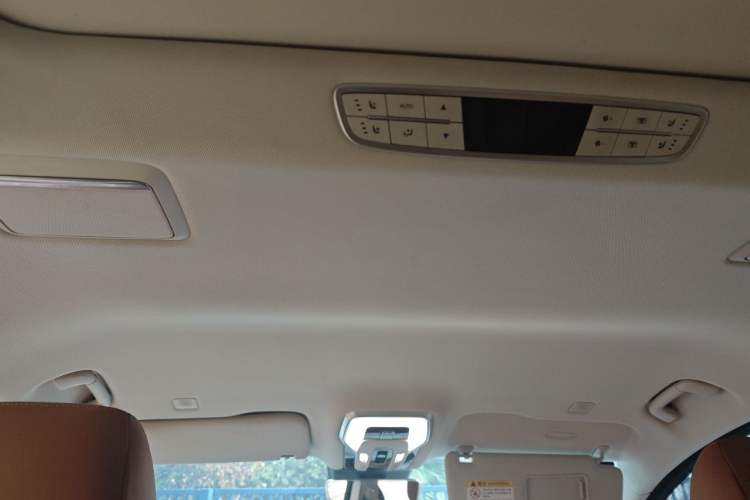 Used Hongqi HQ9 2023 2.0T Smart Connect Flagship Edition Headliner
