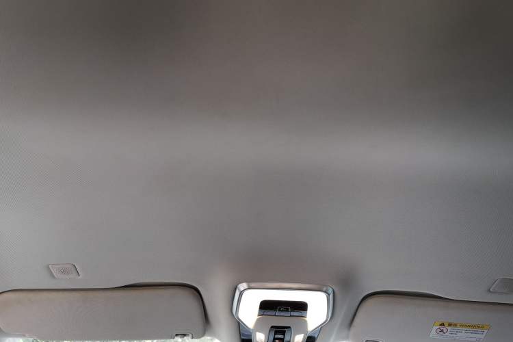 Used Hongqi HQ9 2023 2.0T Smart Connect Flagship Edition Headliner