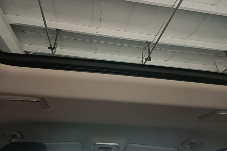 Used Hongqi HQ9 2023 2.0T Smart Connect Flagship Edition Headliner