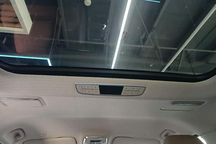 Used Hongqi HQ9 2023 2.0T Smart Connect Flagship Edition Headliner
