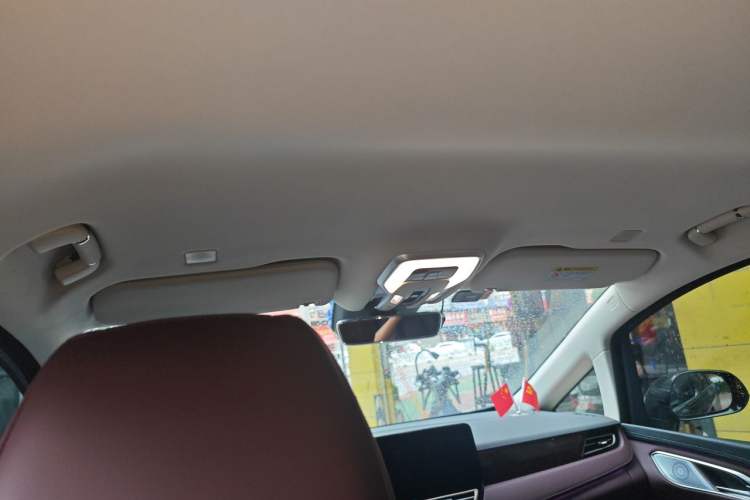 Used Hongqi HQ9 2023 2.0T Smart Connect Flagship Edition Headliner