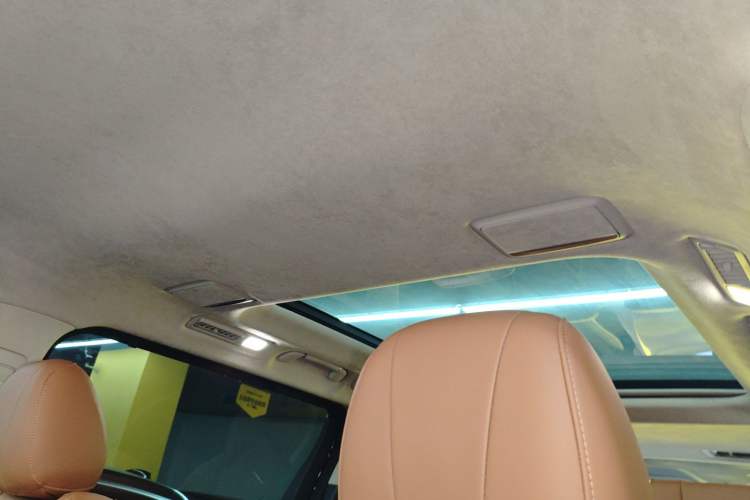 Used Hongqi HQ9 2023 2.0T Smart Connect Flagship Edition Headliner