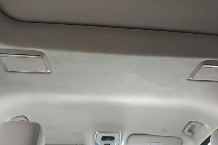 Used Hongqi HQ9 2023 2.0T Smart Connect Flagship Edition Headliner