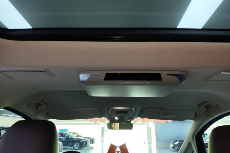 Used Hongqi HQ9 2023 2.0T Smart Connect Flagship Edition Headliner