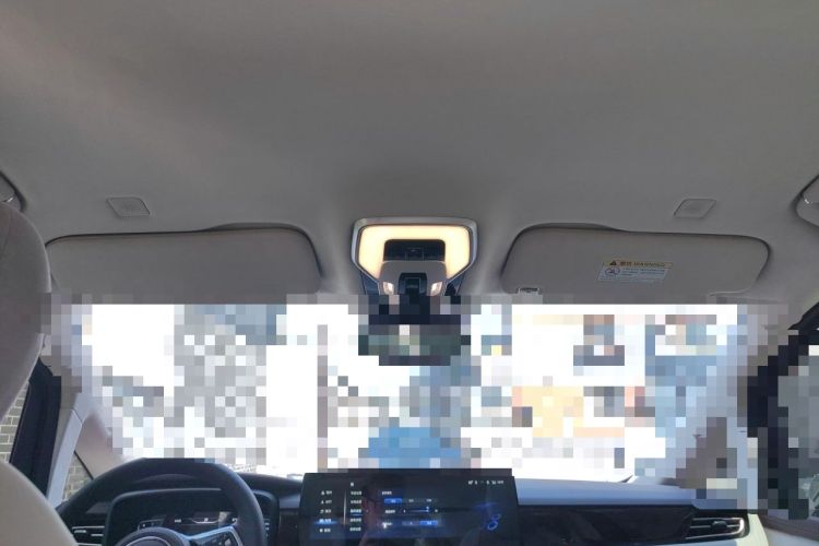 Used Hongqi HQ9 2023 2.0T Smart Connect Flagship Edition Headliner