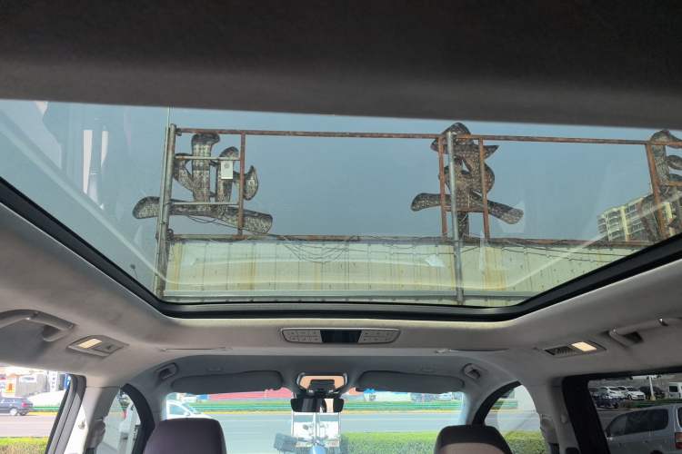 Used Hongqi HQ9 2023 2.0T Smart Connect Flagship Edition Headliner