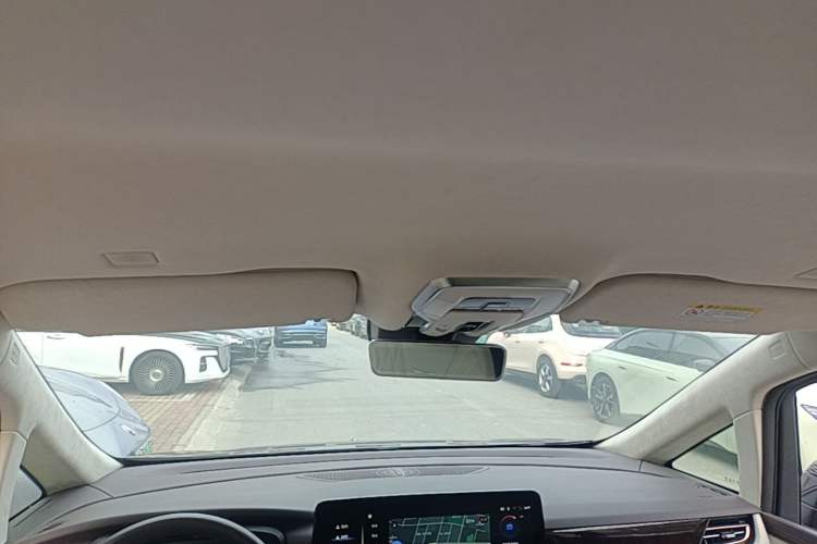 Used Hongqi HQ9 2023 2.0T Smart Connect Flagship Edition Headliner