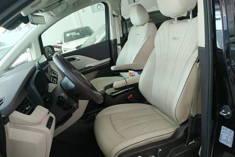 Used Hongqi HQ9 2023 2.0T Smart Connect Flagship Edition Left Front Seat