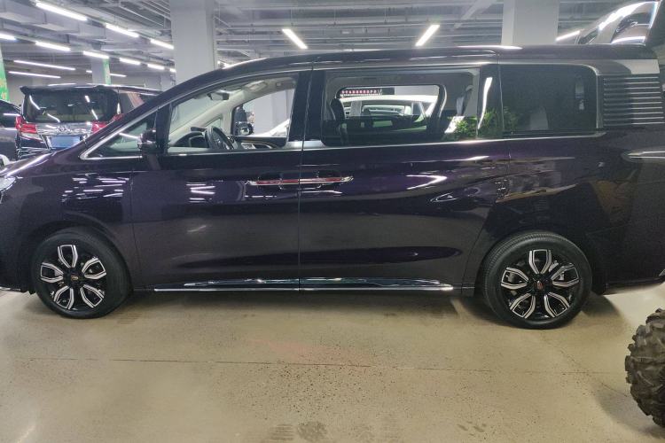 Used Hongqi HQ9 2023 2.0T Smart Connect Flagship Edition Left Side