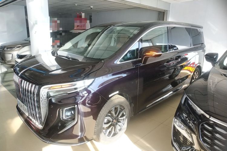 Used Hongqi HQ9 2023 2.0T Smart Connect Flagship Edition Left Side