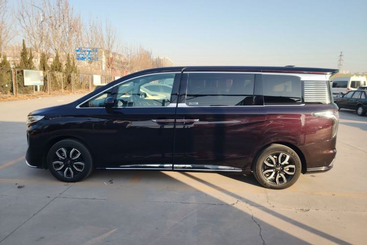 Used Hongqi HQ9 2023 2.0T Smart Connect Flagship Edition Left Side