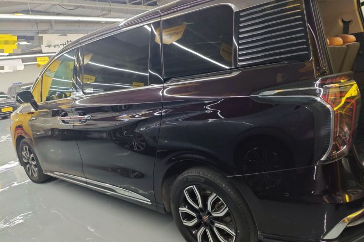 Used Hongqi HQ9 2023 2.0T Smart Connect Flagship Edition Left Side