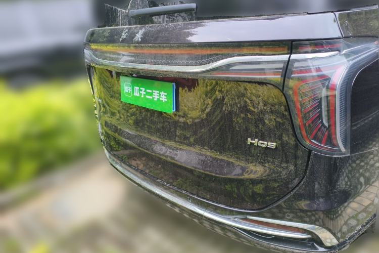 Used Hongqi HQ9 2023 2.0T Smart Connect Flagship Edition Rear