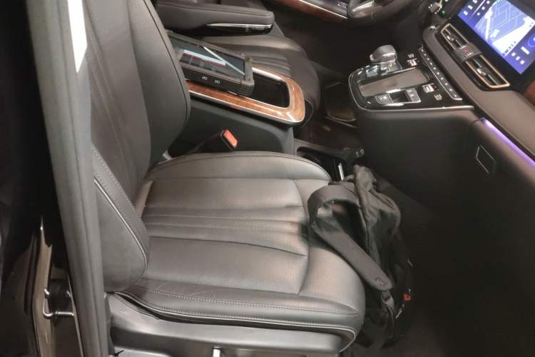 Used Hongqi HQ9 2023 2.0T Smart Connect Flagship Edition Right Front Seat