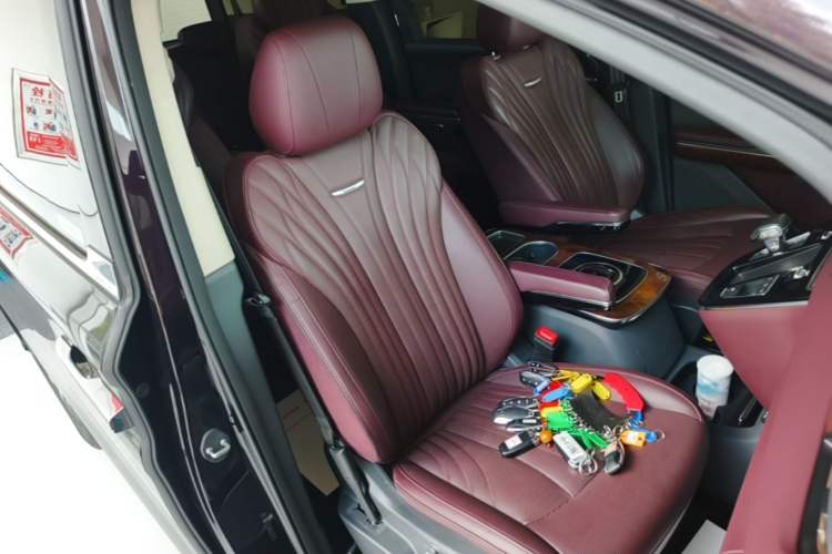 Used Hongqi HQ9 2023 2.0T Smart Connect Flagship Edition Right Front Seat