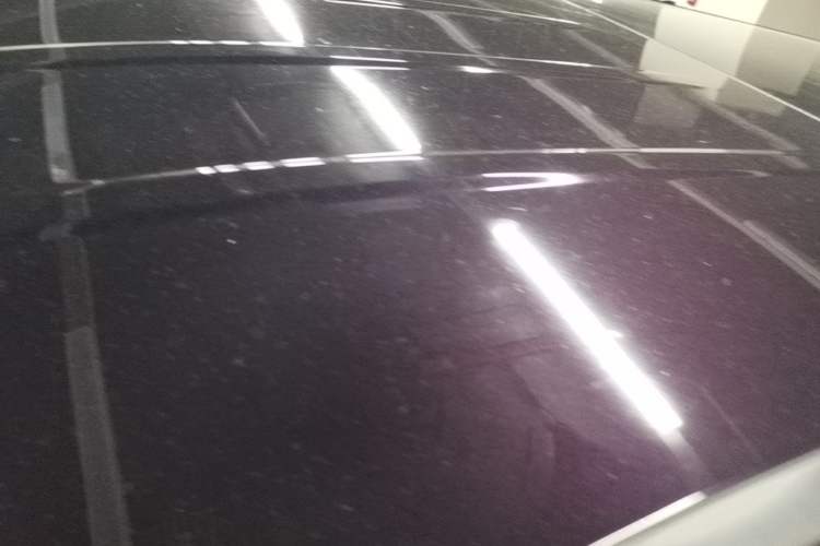 Used Hongqi HQ9 2023 2.0T Smart Connect Flagship Edition Roof