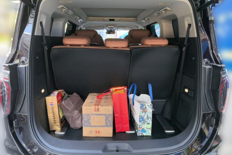 Used Hongqi HQ9 2023 2.0T Smart Connect Flagship Edition Trunk