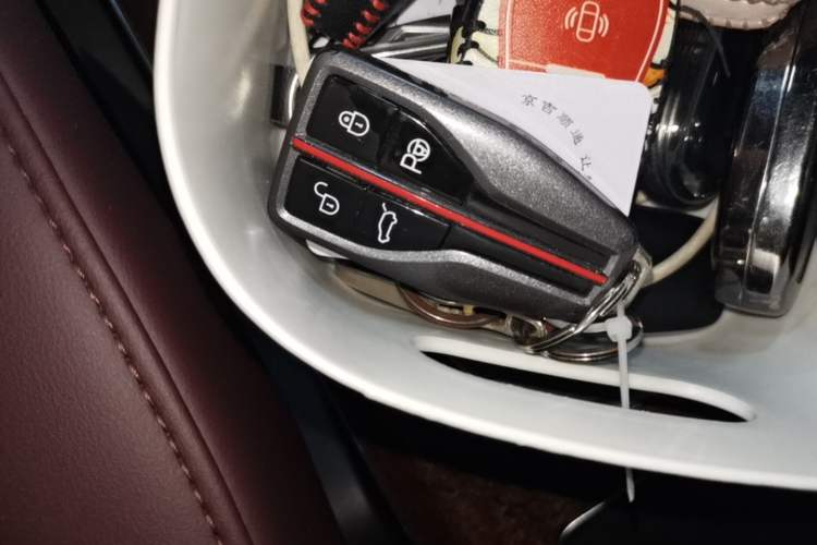 Used Hongqi HQ9 2023 2.0T Smart Connect Flagship Edition Vehicle Key