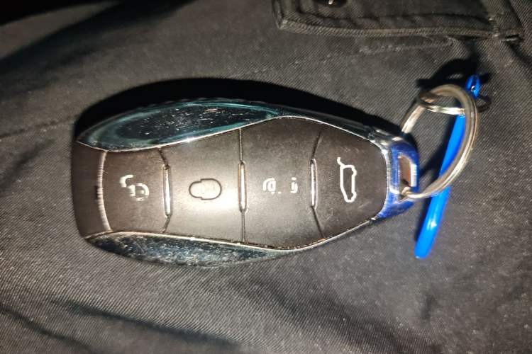 Used Hongqi HQ9 2023 2.0T Smart Connect Flagship Edition Vehicle Key
